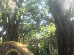 -碧水湾温泉