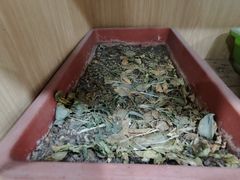 -东椰·海南椰子鸡火锅(朝阳门店)