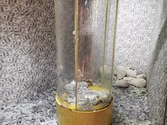 -不可思议减压馆·解压博物馆·摔碗发泄·团建定制