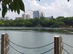 -南宁南湖公园