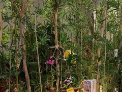 -施奈儿.洗头頭療.按摩SPA.采耳(上梅林店)