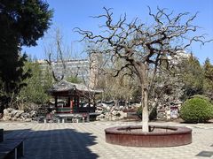-宣武艺园