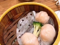 -粤港餐厅(禹州商业广场店)