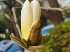 -首都医科大学附属北京友谊医院(西城院区)