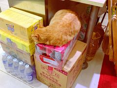 -玉华饮食店(茅台路店)