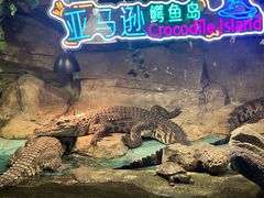 -重庆欢乐海底世界