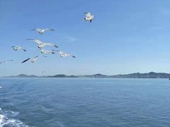 -长岛万鸟岛