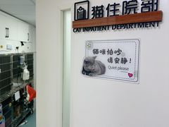 -瑞派天使宠物医院·神经外科·骨科·核磁(洛川中路店)