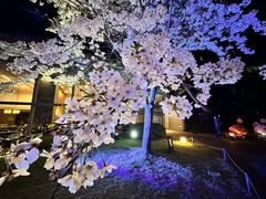 -新高轮格兰王子大酒店
