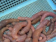 -小铜锣湾海鲜家常菜馆(河西店)