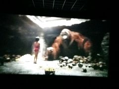 -华联影城(蒙城路店)