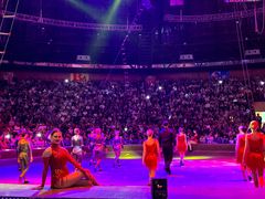 -俄罗斯国家大马戏团