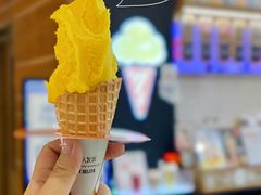 芒果雪芭-野人先生现做冰淇淋(北京环宇荟店)