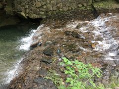 -宁波五龙潭景区