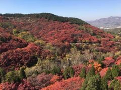 -孤山寨风景区