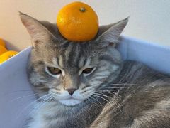 -文成焕·家族韩式餐厅