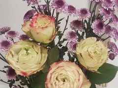 -隅乐胡椒虾·台湾菜·团建(皇岗店)