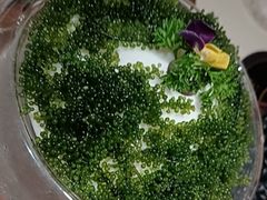 -一叶一世界•素食餐厅(新光天地店)