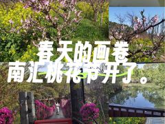 -南汇桃花村