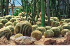 -昆明市金殿名胜区