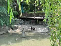 -上海虹桥迎宾馆