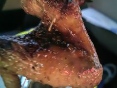 -龚海宝· 烧烤· 羊肉原切挂糊更好吃(庄市店)