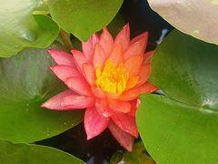 -李宗仁先生故居