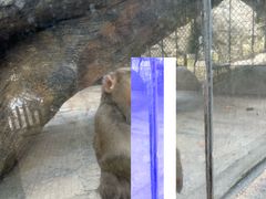 -泉州海丝野生动物世界