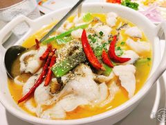 -Aqua Oasis 水天堂(石路天虹店)