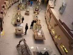 -陕西自然博物馆