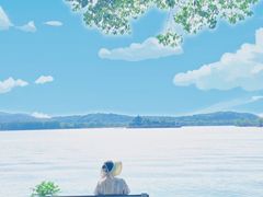 -荷兰花海