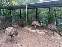 -青藏高原野生动物园