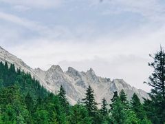 -黔灵山公园