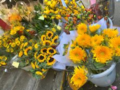 -循礼门鲜花花市(武汉循礼门店)