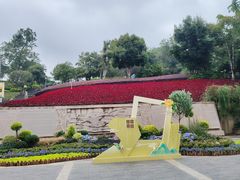 -张干馏(保利江上明珠2期店)