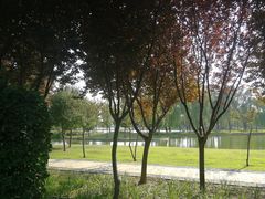 -石家庄市植物园