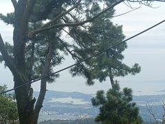 -惠山国家森林公园
