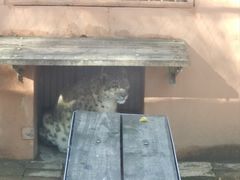 -青藏高原野生动物园