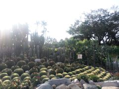 -胡里山炮台
