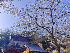 -鸡鸣寺