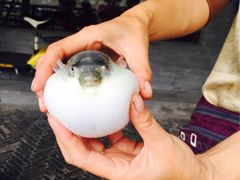 -观桥阁(锦溪店)