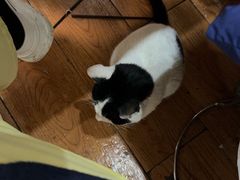 -三中高皇羊肉馆