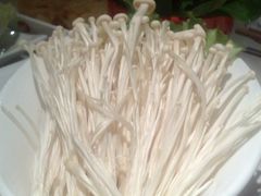 金针菇-海底捞大排档火锅(打浦路店)