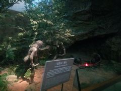 -北京周口店北京人遗址博物馆