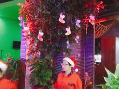 -红花椒火锅(泰州万达店)