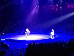 -珠海横琴长隆《卡卡虎奇遇记》