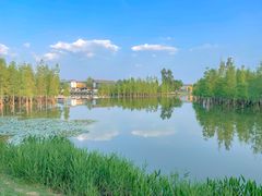 -白鹭湾湿地公园