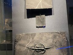 -贵州省博物馆(新馆)