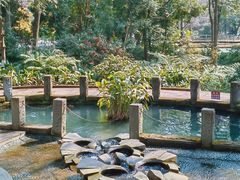 -成都市活水公园