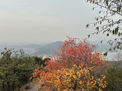 -北京十三陵国家森林公园蟒山景区